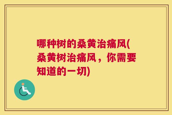 哪种树的桑黄(桑黄树,你需要知道的一切) 哪种树的桑黄(桑黄树,你需要知道的一切)