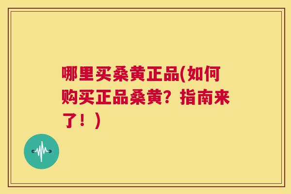 哪里买桑黄正品(如何购买正品桑黄？指南来了！)