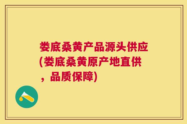 娄底桑黄产品源头供应(娄底桑黄原产地直供,品质保障) 娄底桑黄产品源头供应(娄底桑黄原产地直供,品质保障)