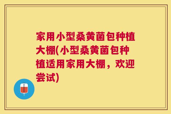 家用小型桑黄菌包种植大棚(小型桑黄菌包种植适用家用大棚,欢迎尝试) 家用小型桑黄菌包种植大棚(小型桑黄菌包种植适用家用大棚,欢迎尝试)