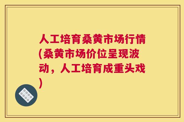 人工培育桑黄市场行情(桑黄市场价位呈现波动,人工培育成重头戏) 人工培育桑黄市场行情(桑黄市场价位呈现波动,人工培育成重头戏)