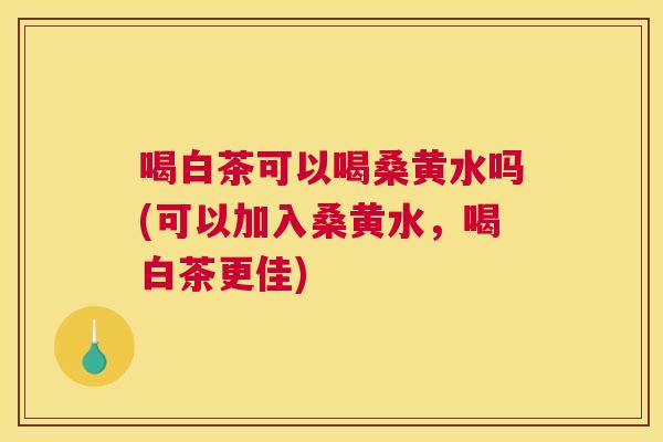 喝白茶可以喝桑黄水吗(可以加入桑黄水,喝白茶更佳) 喝白茶可以喝桑黄水吗(可以加入桑黄水,喝白茶更佳)