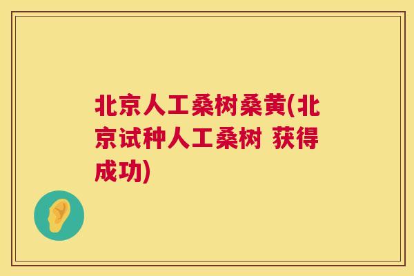 北京人工桑树桑黄(北京试种人工桑树 获得成功) 北京人工桑树桑黄(北京试种人工桑树 获得成功)
