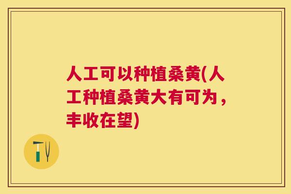 人工可以种植桑黄(人工种植桑黄大有可为,丰收在望) 人工可以种植桑黄(人工种植桑黄大有可为,丰收在望)