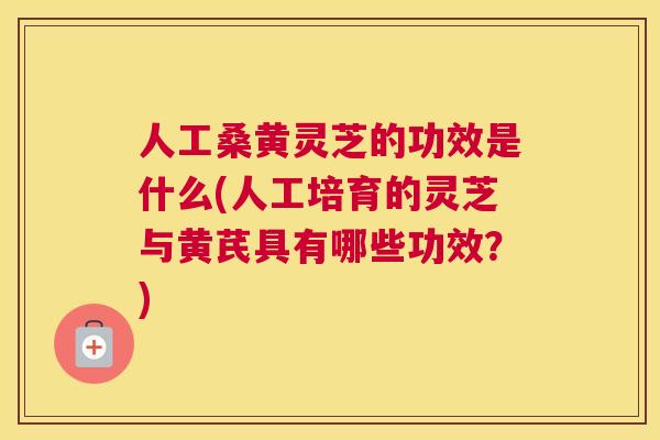 人工桑黄灵芝的功效是什么(人工培育的灵芝与黄芪具有哪些功效?) 人工桑黄灵芝的功效是什么(人工培育的灵芝与黄芪具有哪些功效?)