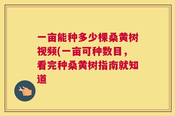 一亩能种多少棵桑黄树视频(一亩可种数目,看完种桑黄树指南就知道 一亩能种多少棵桑黄树视频(一亩可种数目,看完种桑黄树指南就知道