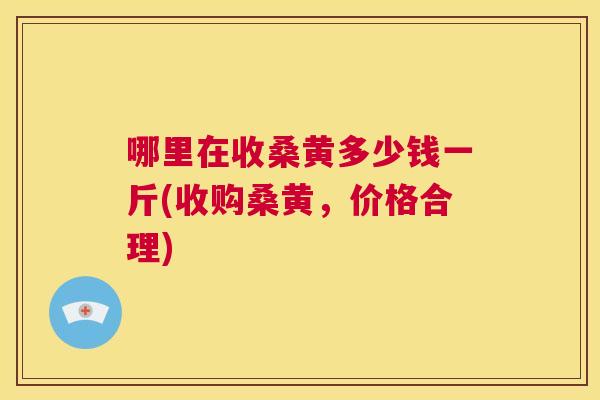 哪里在收桑黄多少钱一斤(收购桑黄，价格合理)