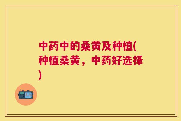 中的桑黄及种植(种植桑黄,好选择) 中的桑黄及种植(种植桑黄,好选择)