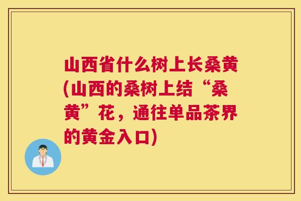 山西省什么树上长桑黄(山西的桑树上结“桑黄”花,通往单品茶界的黄金入口) 山西省什么树上长桑黄(山西的桑树上结“桑黄”花,通往单品茶界的黄金入口)