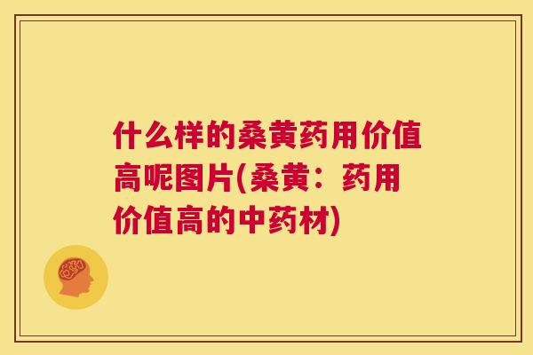 什么样的桑黄药用价值高呢图片(桑黄:药用价值高的材) 什么样的桑黄药用价值高呢图片(桑黄:药用价值高的材)