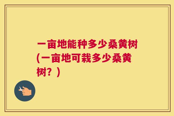 一亩地能种多少桑黄树(一亩地可栽多少桑黄树?) 一亩地能种多少桑黄树(一亩地可栽多少桑黄树?)