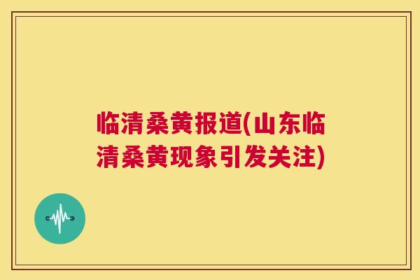 临清桑黄报道(山东临清桑黄现象引发关注) 临清桑黄报道(山东临清桑黄现象引发关注)