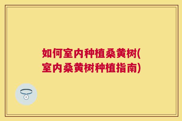 如何室内种植桑黄树(室内桑黄树种植指南) 如何室内种植桑黄树(室内桑黄树种植指南)