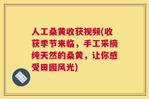 人工桑黄收获视频(收获季节来临,手工采摘纯天然的桑黄,让你感受田园风光) 人工桑黄收获视频(收获季节来临,手工采摘纯天然的桑黄,让你感受田园风光)