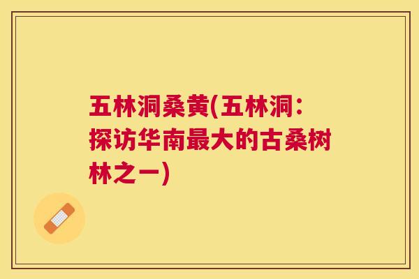 五林洞桑黄(五林洞:探访华南大的古桑树林之一) 五林洞桑黄(五林洞:探访华南大的古桑树林之一)