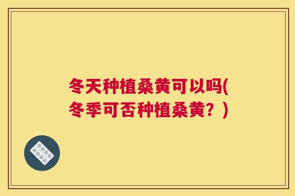 冬天种植桑黄可以吗(冬季可否种植桑黄?) 冬天种植桑黄可以吗(冬季可否种植桑黄?)