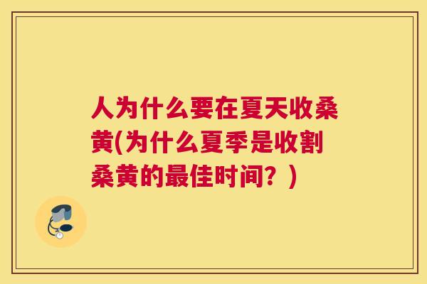 人为什么要在夏天收桑黄(为什么夏季是收割桑黄的佳时间?) 人为什么要在夏天收桑黄(为什么夏季是收割桑黄的佳时间?)