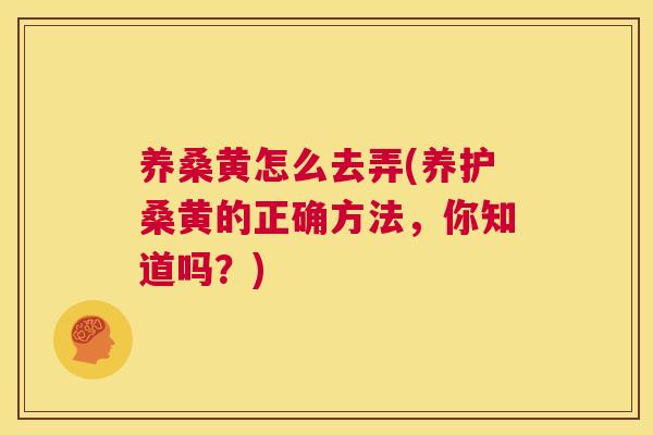 养桑黄怎么去弄(养护桑黄的正确方法,你知道吗?) 养桑黄怎么去弄(养护桑黄的正确方法,你知道吗?)