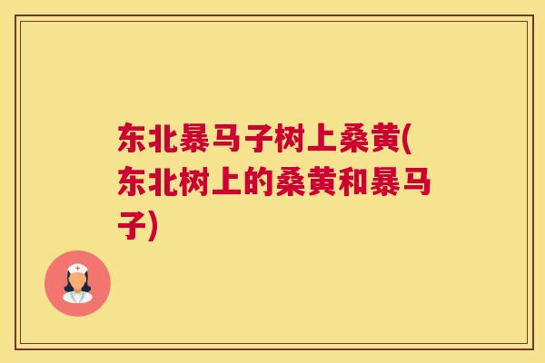 东北暴马子树上桑黄(东北树上的桑黄和暴马子) 东北暴马子树上桑黄(东北树上的桑黄和暴马子)