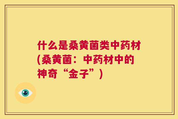 什么是桑黄菌类材(桑黄菌:材中的神奇“金子”) 什么是桑黄菌类材(桑黄菌:材中的神奇“金子”)