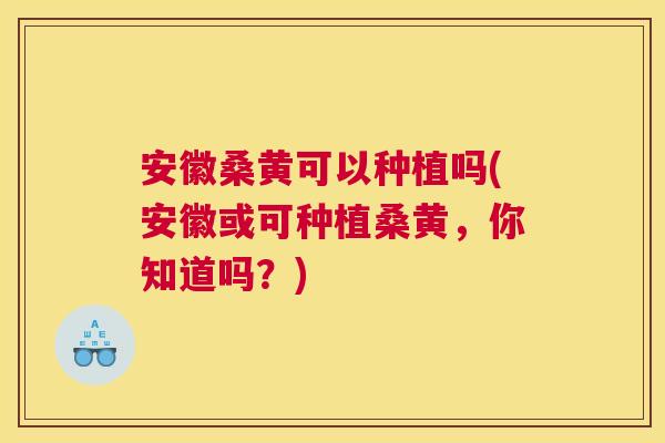 安徽桑黄可以种植吗(安徽或可种植桑黄,你知道吗?) 安徽桑黄可以种植吗(安徽或可种植桑黄,你知道吗?)