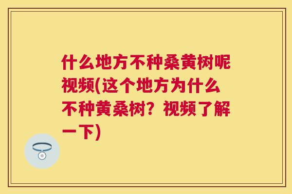 什么地方不种桑黄树呢视频(这个地方为什么不种黄桑树?视频了解一下) 什么地方不种桑黄树呢视频(这个地方为什么不种黄桑树?视频了解一下)