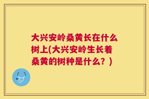 大兴安岭桑黄长在什么树上(大兴安岭生长着桑黄的树种是什么?) 大兴安岭桑黄长在什么树上(大兴安岭生长着桑黄的树种是什么?)