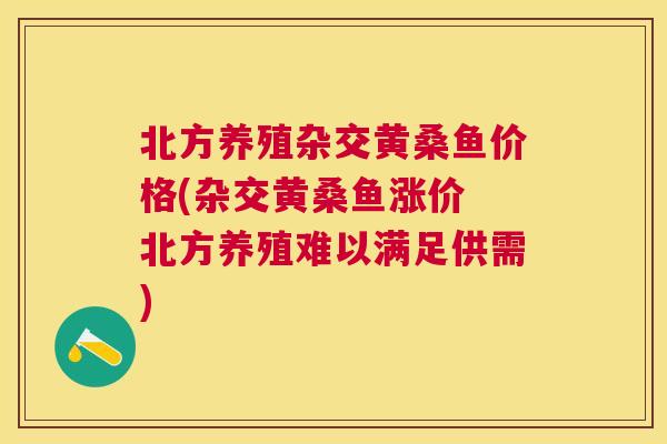北方养殖杂交黄桑鱼价格(杂交黄桑鱼涨价 北方养殖难以满足供需) 北方养殖杂交黄桑鱼价格(杂交黄桑鱼涨价 北方养殖难以满足供需)