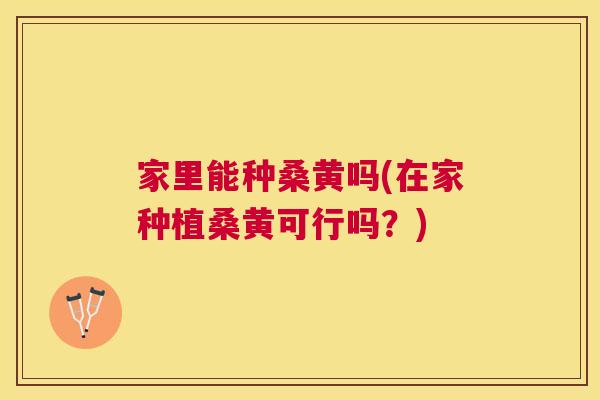 家里能种桑黄吗(在家种植桑黄可行吗?) 家里能种桑黄吗(在家种植桑黄可行吗?)