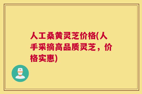 人工桑黄灵芝价格(人手采摘高品质灵芝,价格实惠) 人工桑黄灵芝价格(人手采摘高品质灵芝,价格实惠)