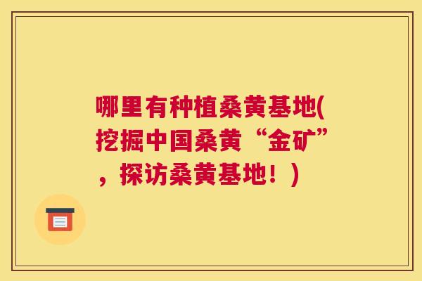 哪里有种植桑黄基地(挖掘中国桑黄“金矿”,探访桑黄基地!) 哪里有种植桑黄基地(挖掘中国桑黄“金矿”,探访桑黄基地!)