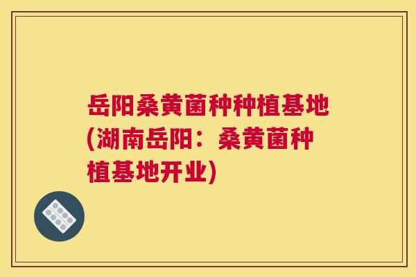 岳阳桑黄菌种种植基地(湖南岳阳:桑黄菌种植基地开业) 岳阳桑黄菌种种植基地(湖南岳阳:桑黄菌种植基地开业)