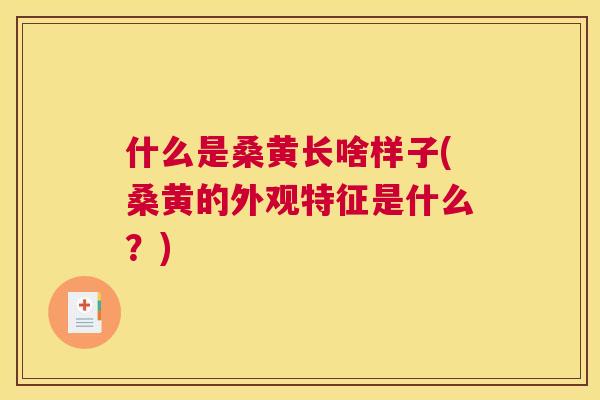 什么是桑黄长啥样子(桑黄的外观特征是什么?) 什么是桑黄长啥样子(桑黄的外观特征是什么?)
