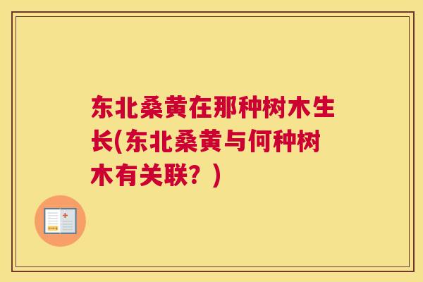 东北桑黄在那种树木生长(东北桑黄与何种树木有关联?) 东北桑黄在那种树木生长(东北桑黄与何种树木有关联?)