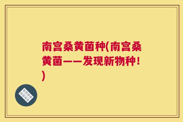 南宫桑黄菌种(南宫桑黄菌——发现新物种!) 南宫桑黄菌种(南宫桑黄菌——发现新物种!)