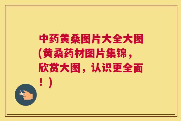 黄桑图片大全大图(黄桑药材图片集锦,欣赏大图,认识更全面!) 黄桑图片大全大图(黄桑药材图片集锦,欣赏大图,认识更全面!)