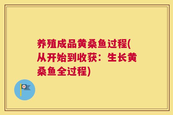 养殖成品黄桑鱼过程(从开始到收获:生长黄桑鱼全过程) 养殖成品黄桑鱼过程(从开始到收获:生长黄桑鱼全过程)