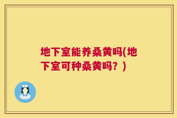 地下室能养桑黄吗(地下室可种桑黄吗?) 地下室能养桑黄吗(地下室可种桑黄吗?)