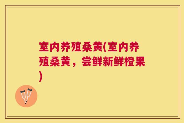 室内养殖桑黄(室内养殖桑黄,尝鲜新鲜橙果) 室内养殖桑黄(室内养殖桑黄,尝鲜新鲜橙果)