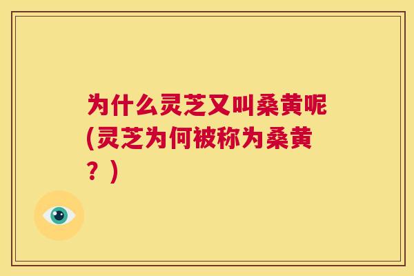 为什么灵芝又叫桑黄呢(灵芝为何被称为桑黄?) 为什么灵芝又叫桑黄呢(灵芝为何被称为桑黄?)