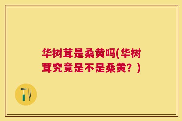 华树茸是桑黄吗(华树茸究竟是不是桑黄?) 华树茸是桑黄吗(华树茸究竟是不是桑黄?)
