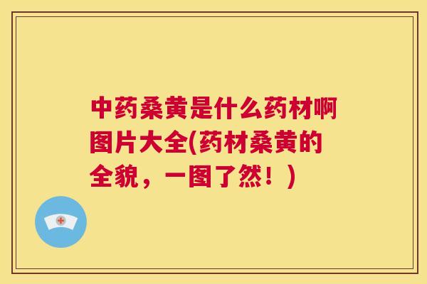 桑黄是什么药材啊图片大全(药材桑黄的全貌,一图了然!) 桑黄是什么药材啊图片大全(药材桑黄的全貌,一图了然!)