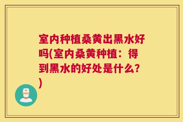 室内种植桑黄出黑水好吗(室内桑黄种植:得到黑水的好处是什么?) 室内种植桑黄出黑水好吗(室内桑黄种植:得到黑水的好处是什么?)