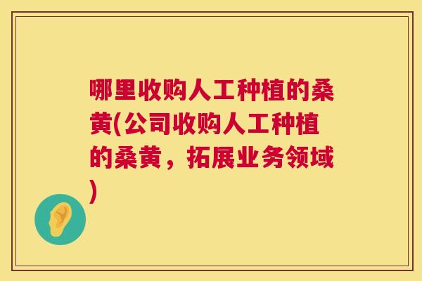 哪里收购人工种植的桑黄(公司收购人工种植的桑黄,拓展业务领域) 哪里收购人工种植的桑黄(公司收购人工种植的桑黄,拓展业务领域)