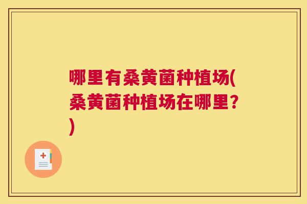 哪里有桑黄菌种植场(桑黄菌种植场在哪里?) 哪里有桑黄菌种植场(桑黄菌种植场在哪里?)