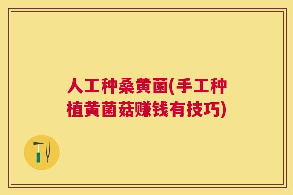 人工种桑黄菌(手工种植黄菌菇赚钱有技巧) 人工种桑黄菌(手工种植黄菌菇赚钱有技巧)