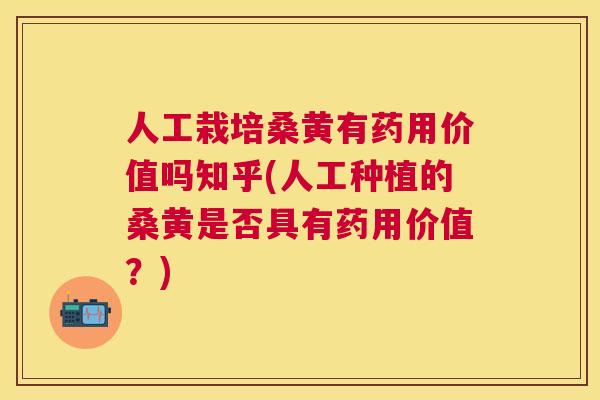 人工栽培桑黄有药用价值吗知乎(人工种植的桑黄是否具有药用价值?) 人工栽培桑黄有药用价值吗知乎(人工种植的桑黄是否具有药用价值?)