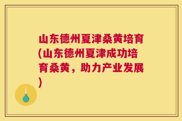 山东德州夏津桑黄培育(山东德州夏津成功培育桑黄,助力产业发展) 山东德州夏津桑黄培育(山东德州夏津成功培育桑黄,助力产业发展)