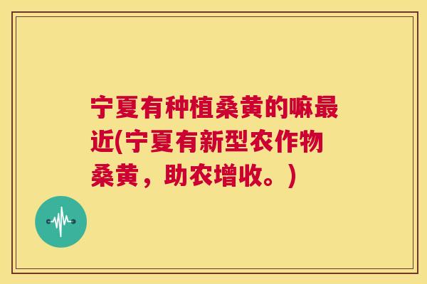 宁夏有种植桑黄的嘛近(宁夏有新型农作物桑黄,助农增收。) 宁夏有种植桑黄的嘛近(宁夏有新型农作物桑黄,助农增收。)