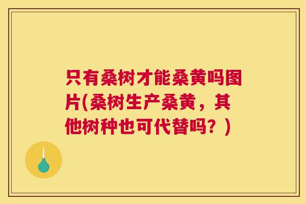 只有桑树才能桑黄吗图片(桑树生产桑黄,其他树种也可代替吗?) 只有桑树才能桑黄吗图片(桑树生产桑黄,其他树种也可代替吗?)